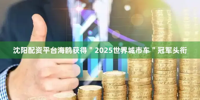 沈阳配资平台海鸥获得＂2025世界城市车＂冠军头衔